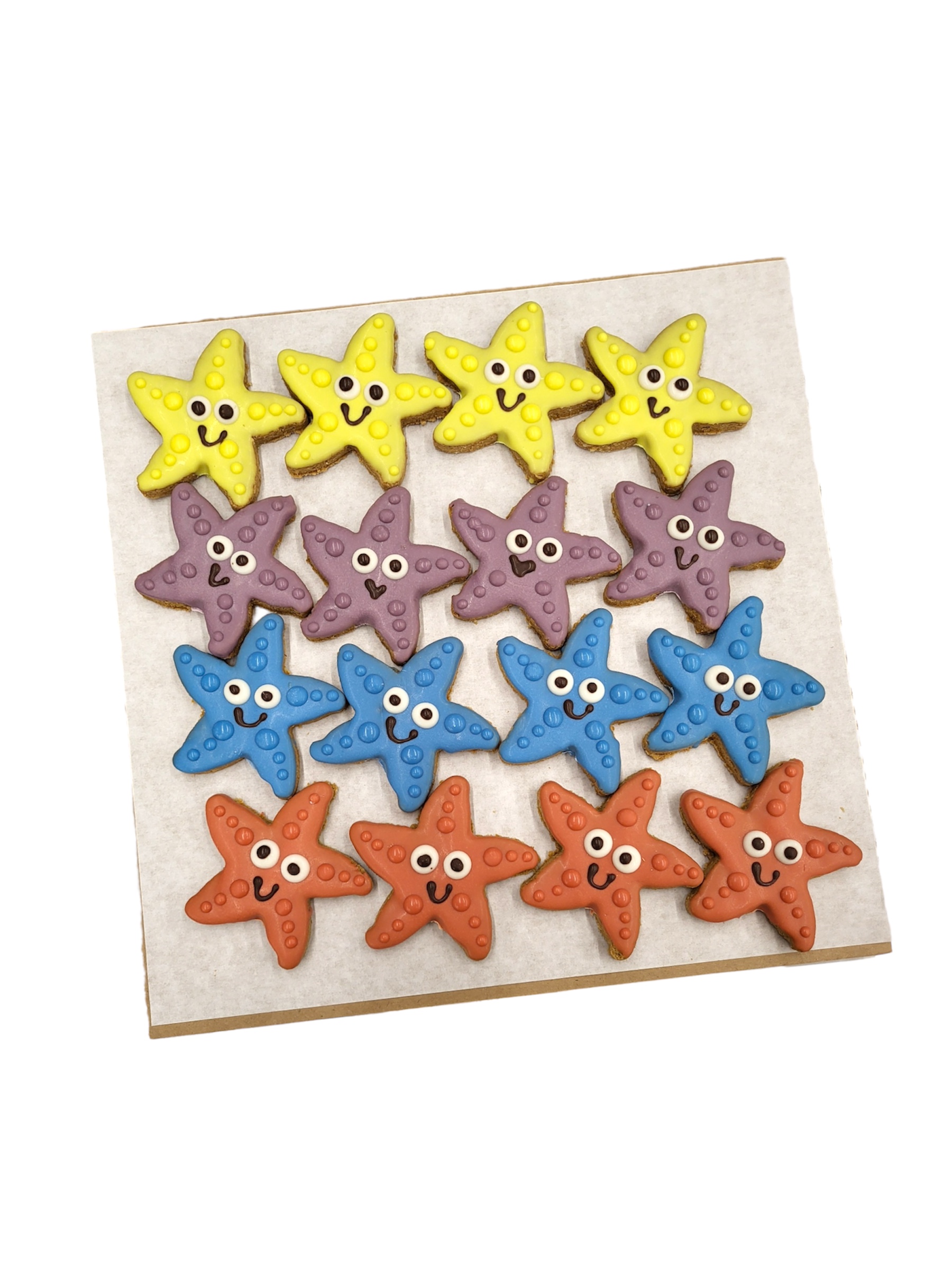 Starfish - Tray of 16
