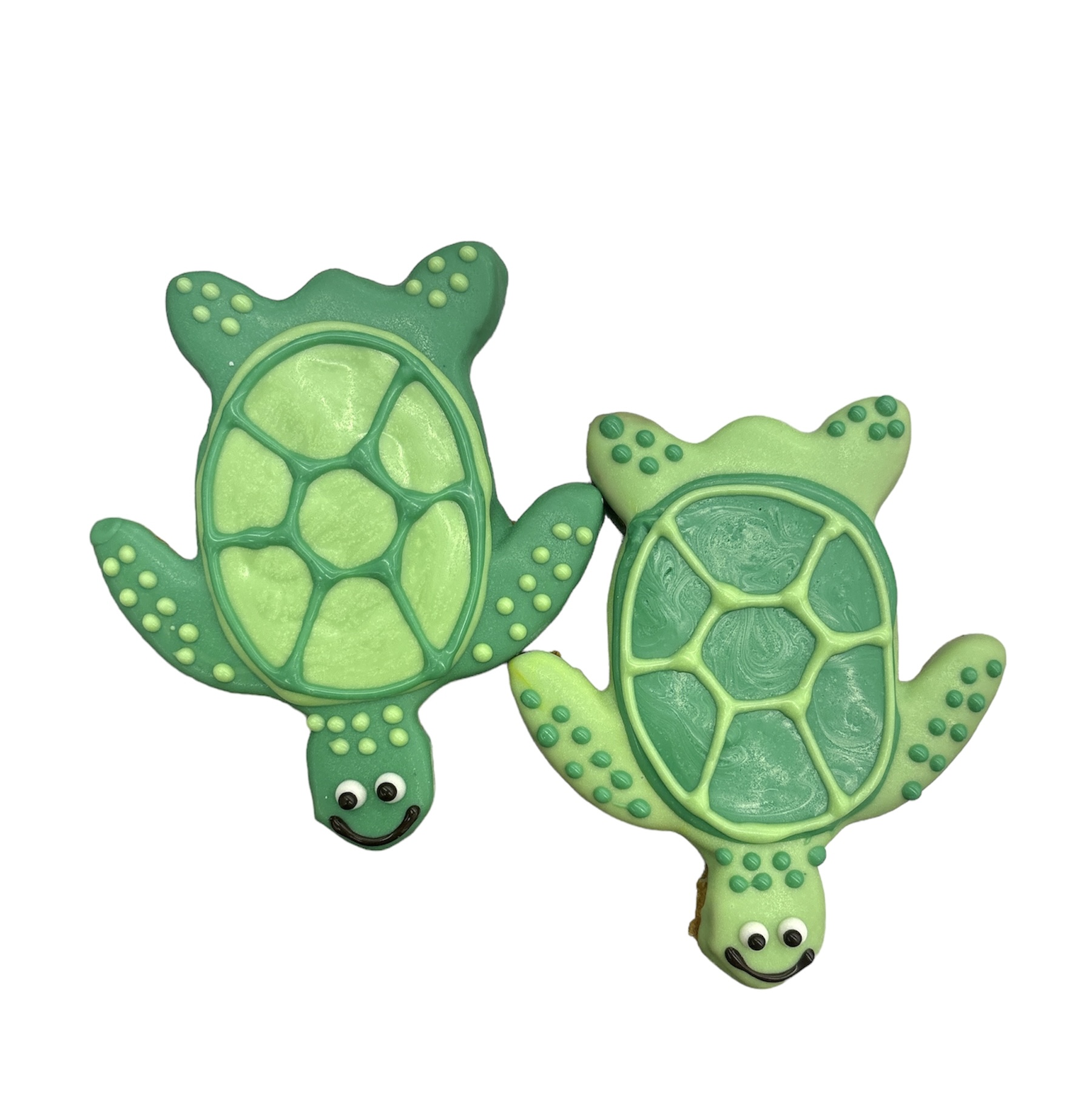 Sea Turtles - Tray of 9