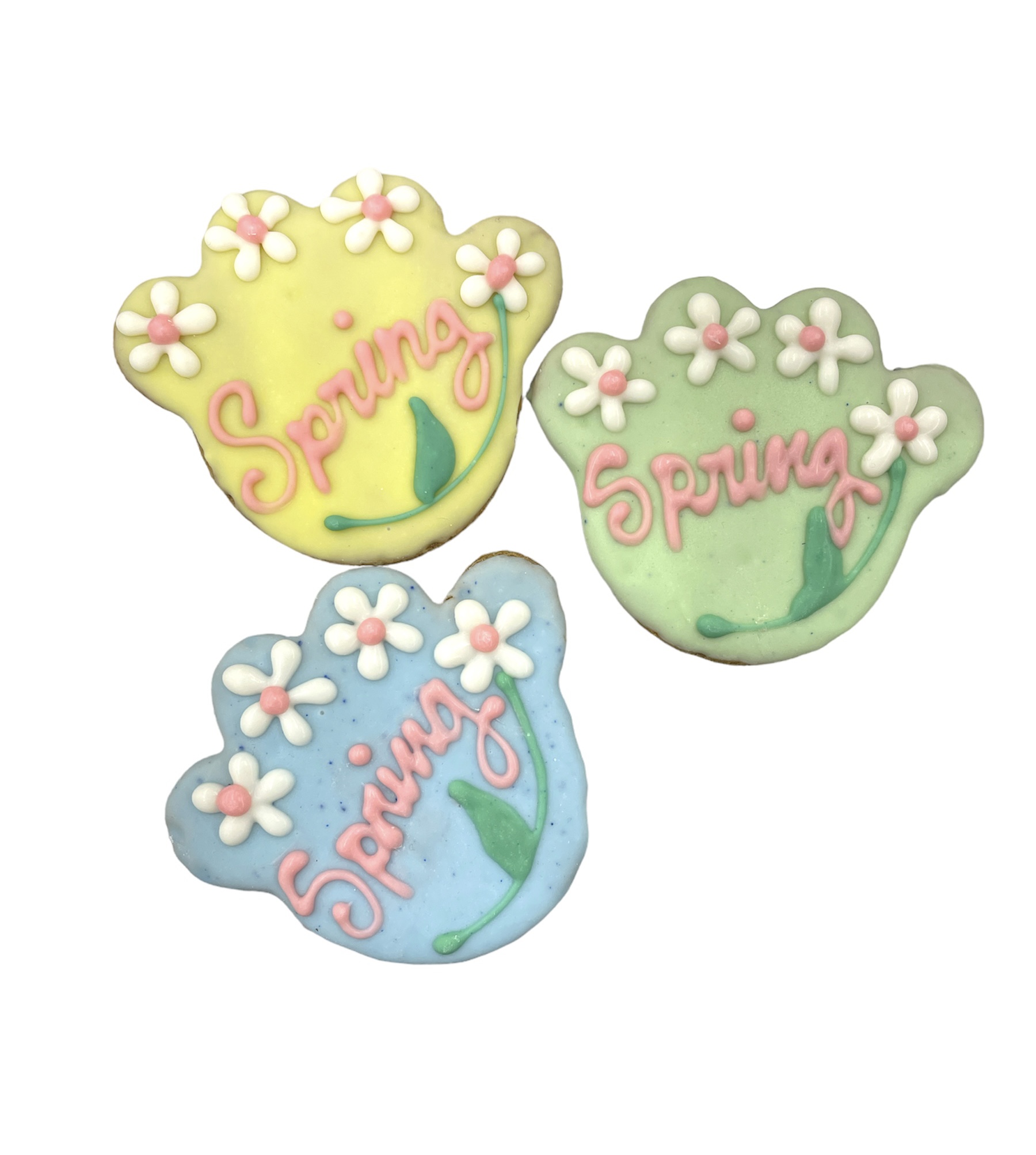 Spring Paws - Tray of 12 *