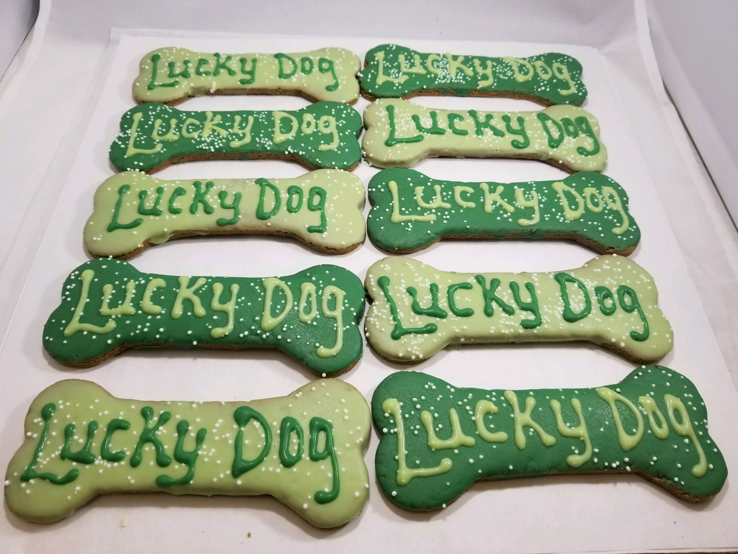 Lucky Dog Bones - Tray of 10 *