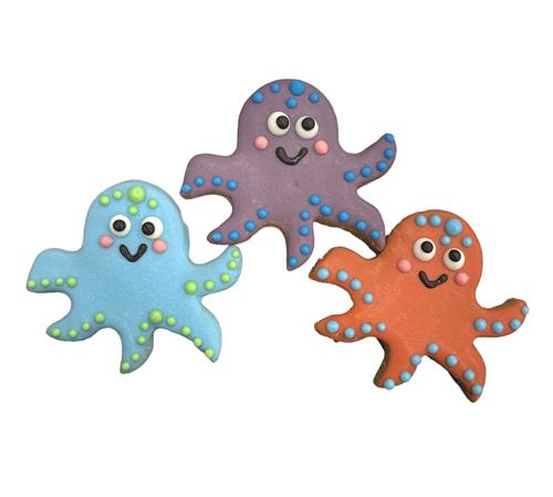 Octopus - Tray of 12